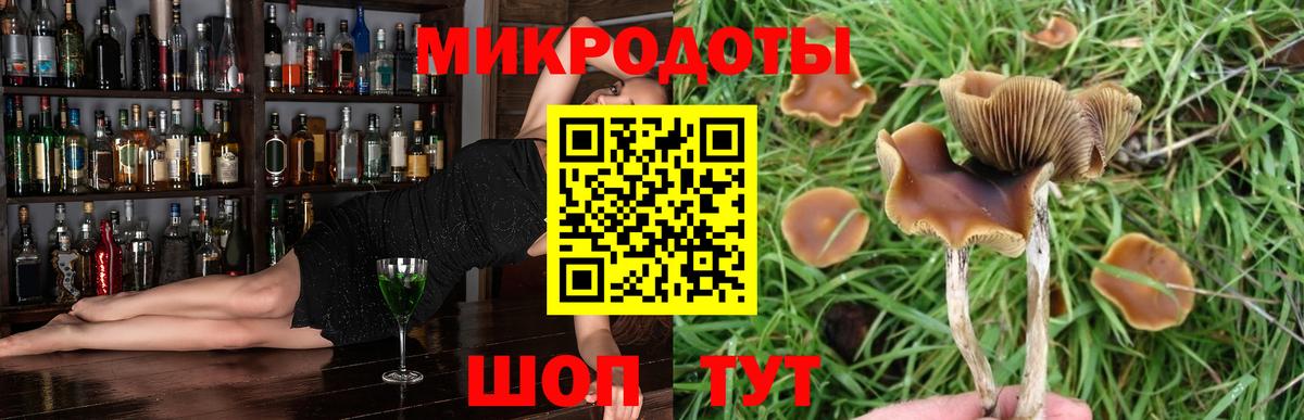 Галлюциногенные грибы GOLDEN TEACHER Озёры